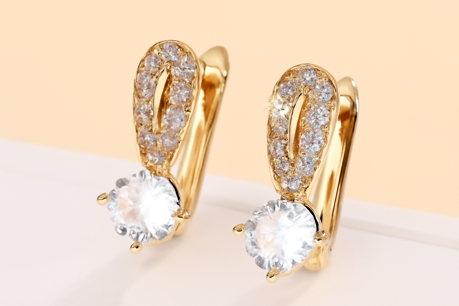 Ein Paar zarte und stilvolle Ohrringe, geeignet für das tägliche Tragen.