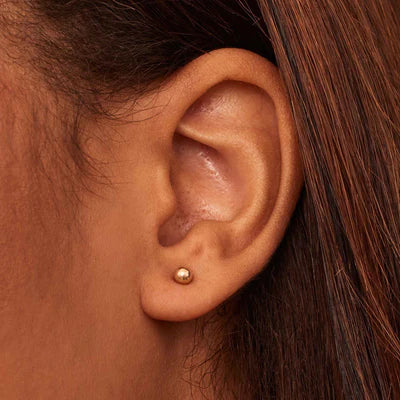 Haben eine Kugel Ohrstecker | Gold 16k